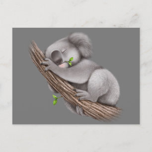 Kärlek Koala Bears vykort