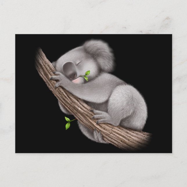 Kärlek Koala Bears Vykort (Framsida)