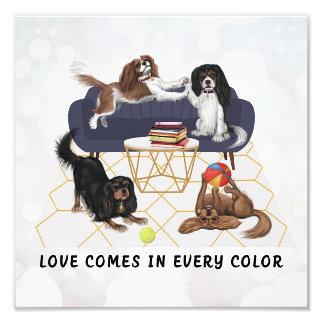 Kärlek kommer i alla färger | Cavalier King Charle Fototryck (Framsidan)