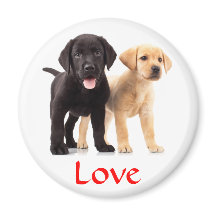 Kärlek Labrador Retriever Puppies Fridge Magnet