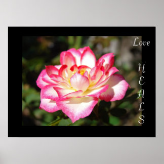 Kärlek LÄKER tryckkonst gåvor Rosa Rosor Flora Poster