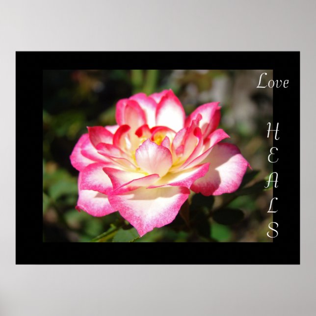 Kärlek LÄKER tryckkonst gåvor Rosa Rosor Flora Poster (Framsidan)