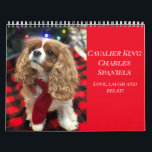 Kärlek, Laugh & Slappna av Cavalier Kung Charles S Kalender<br><div class="desc">Njut varje månad med ett foto av en av mina Cavaliers plus en roligt på hur du kan vara avslappnad under året!</div>