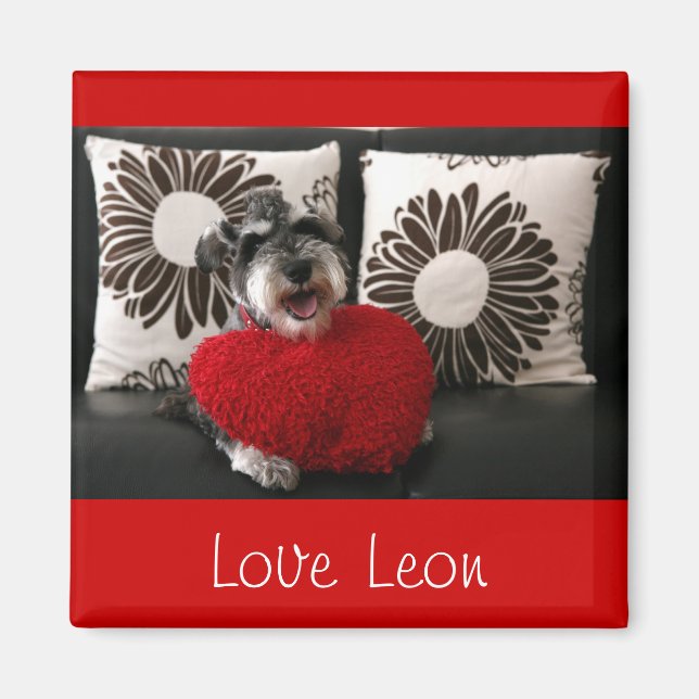 Kärlek Leon Magnet (Framsidan)