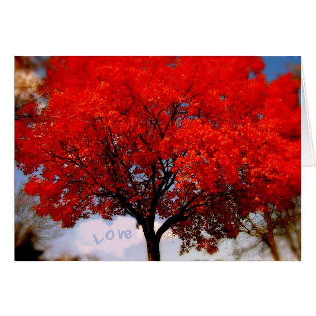 Kärlek ligger i luft... OBS kort (Framsidan Horizontal)