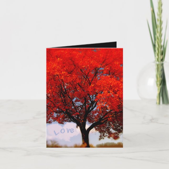 Kärlek ligger i luft... tack kort (Framsida)