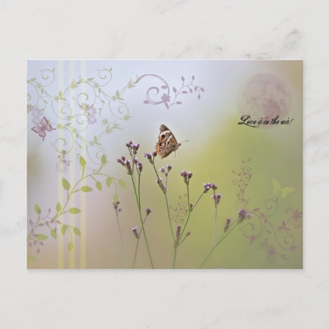 Kärlek ligger i luft! vykort (Framsida)