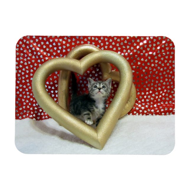 Kärlek, Lilo - Hjärtat/Kitten Magnet (Horisontell)