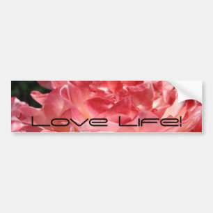 Kärlek Liv! bildtextsticker Rosa sommarros blomma Bildekal