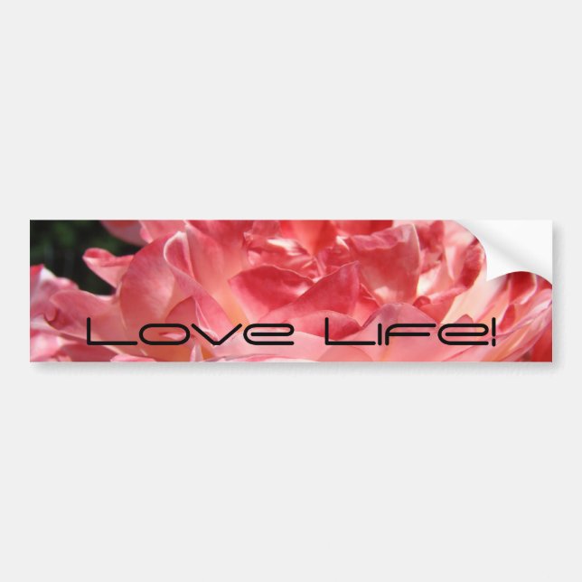 Kärlek Liv! bildtextsticker Rosa sommarros blomma Bildekal (Framsidan)