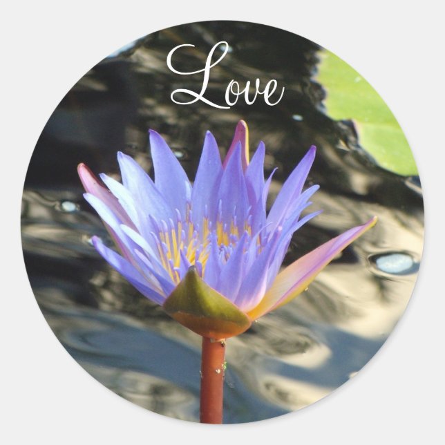 Kärlek Lotus Runt Klistermärke (Framsida)