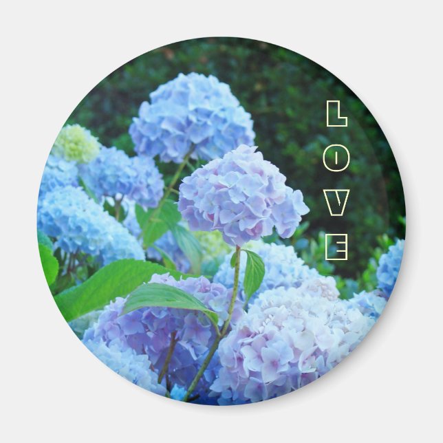 KÄRLEK magnet Blå Rosa Hortensia Trädgård Mor (Framsidan)