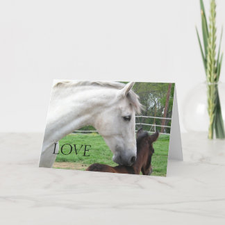 KÄRLEK MARE- OCH FOAL-KORT KORT
