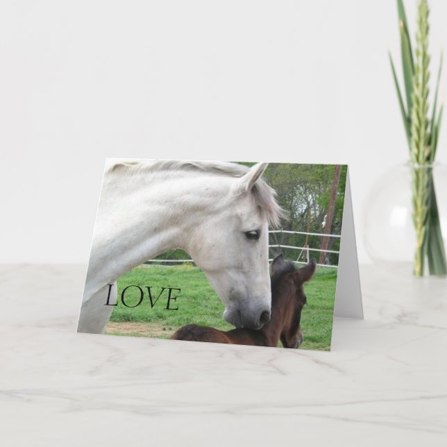 KÄRLEK MARE- OCH FOAL-KORT KORT (Framsida)