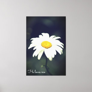 Kärlek Me Daisy Canvas