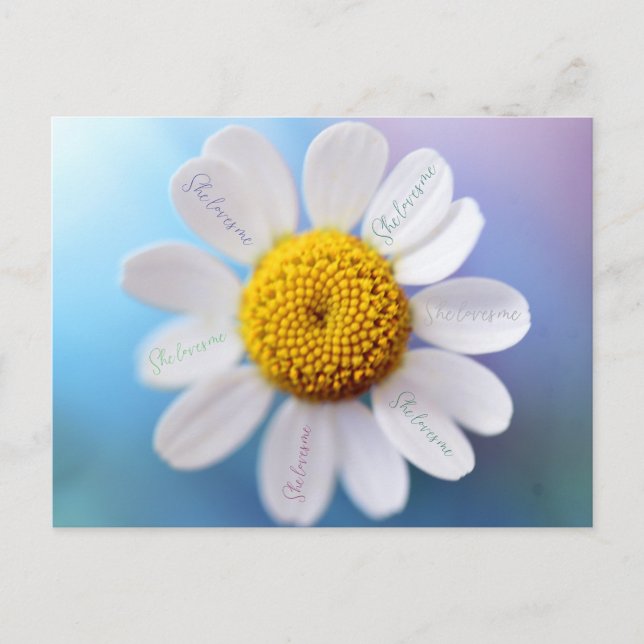 "Kärlek Me" Daisy vykort (Framsida)