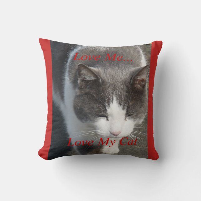 Kärlek Me Kärlek My Cat Kudde (Framsida)