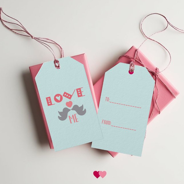Kärlek Me Turquise Valentine Day Presentetikett (Cute Birds Love Me Turquoise Valentine's Day Gift Tags)