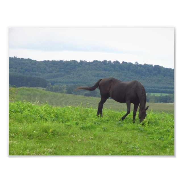 Kärlek Meadows Fototryck (Framsidan)