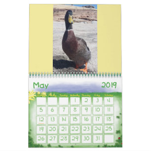 Kärlek mig några nibbles 2019 Calendar Kalender