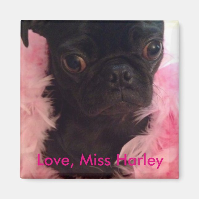 Kärlek, Miss Harley Magnet (Framsidan)