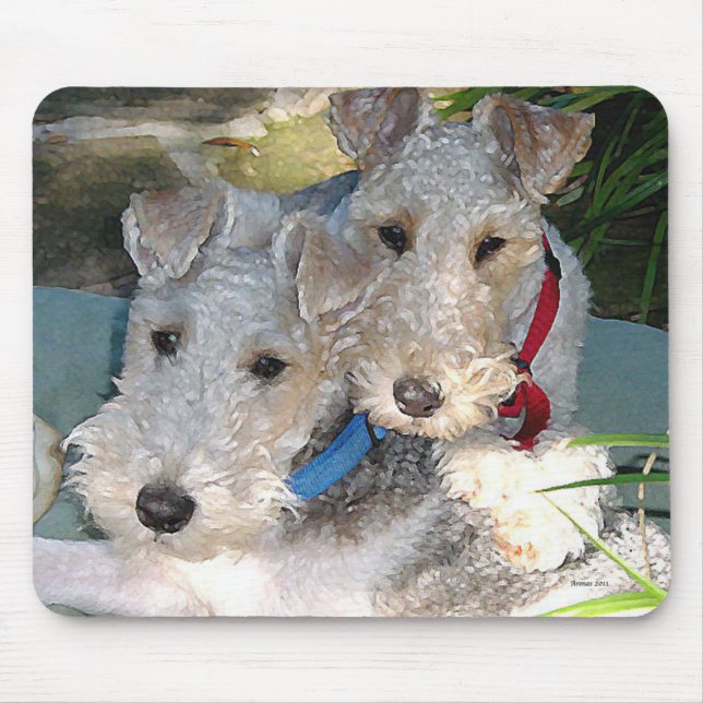 Kärlek Musmatta (Framsidan)