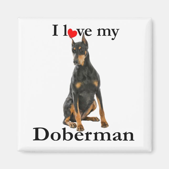 Kärlek My Doberman Magnet (Framsidan)