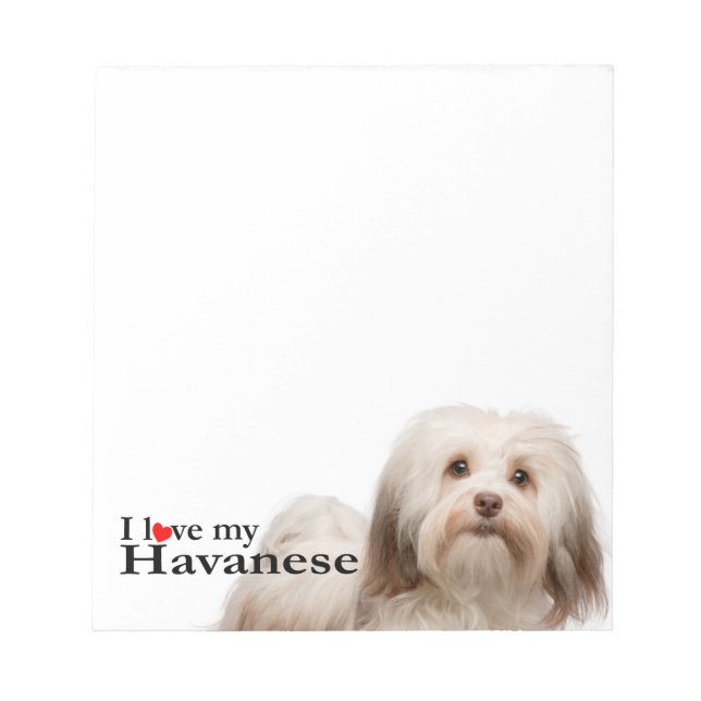 Kärlek My Havanese Anteckningsblock (Framsida)