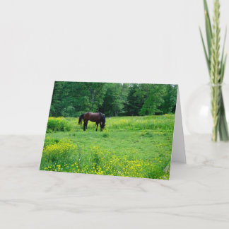 KÄRLEK MY HORSIE-kort! Kort