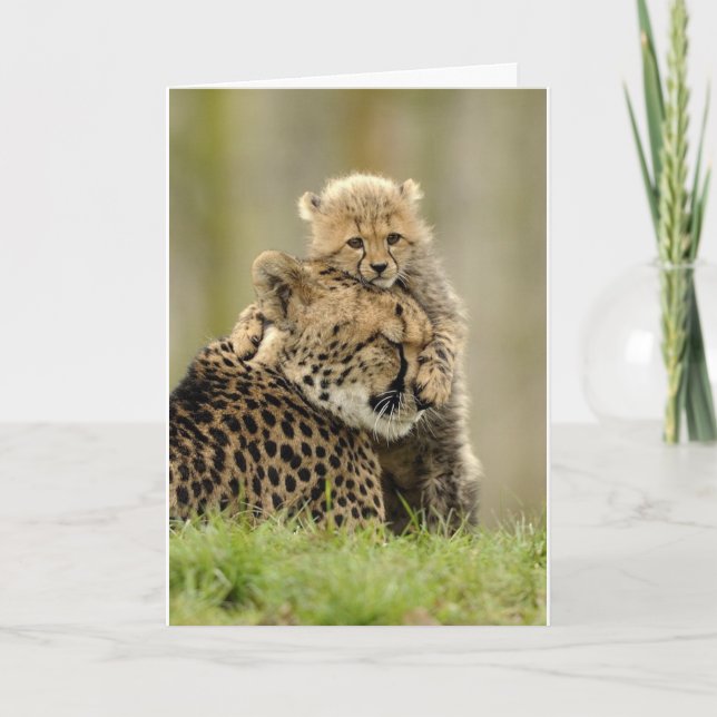 Kärlek My Mamma Helgkort (Framsida)