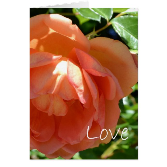 Kärlek OBS Kort (Framsidan)