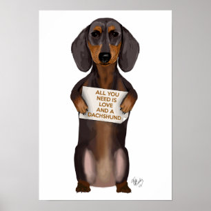 Kärlek och Dachshund Poster