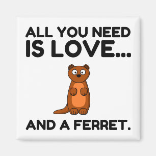 KÄRLEK OCH EN FERRET MAGNET