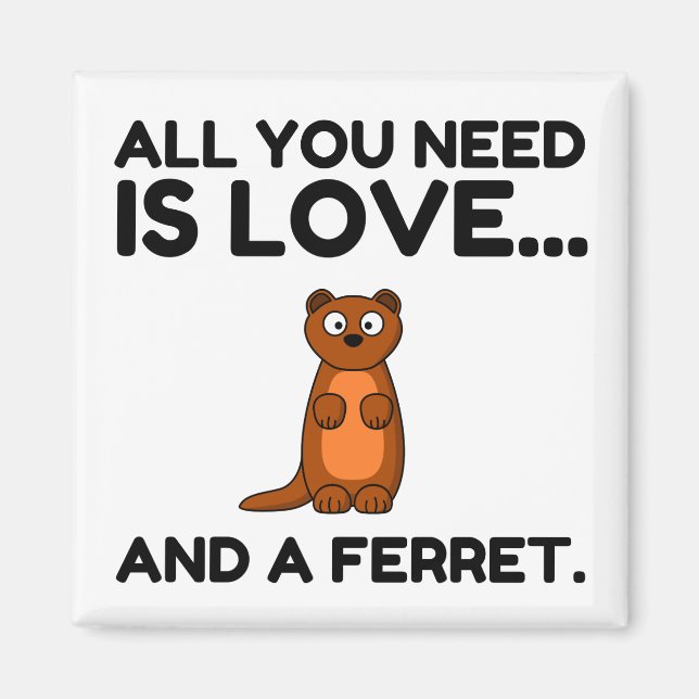KÄRLEK OCH EN FERRET MAGNET (Framsidan)