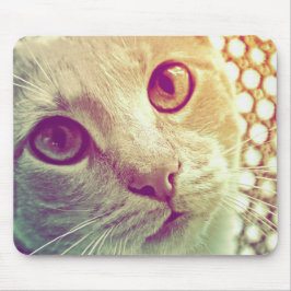 Kärlek och förödelse musmatta