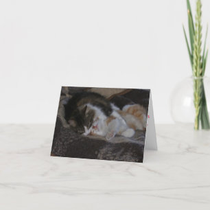 Kärlek- och kattungekyssar helgkort