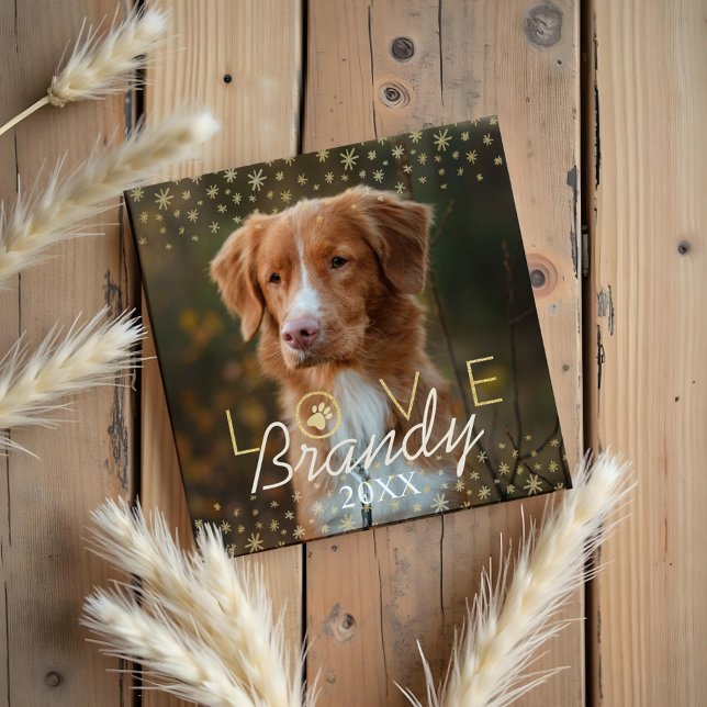 Kärlek och minnen | Helgdag Stars Pet Memorial Pho Magnet (Love & Memories | Holiday Stars Pet Memorial Photo Magnet)