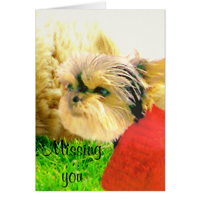 Kärlek och vård,Hundar_ Hälsningskort (Framsidan)