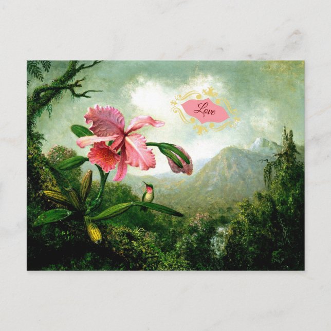 Kärlek, Orchid och Hummingbird nära vattenfall Vykort (Framsida)