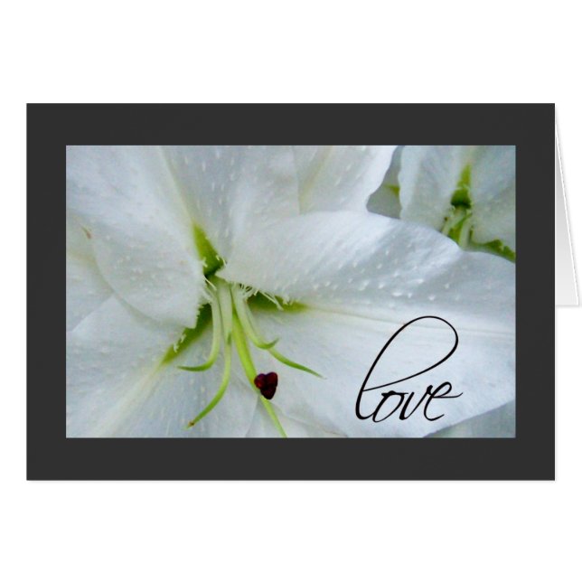 Kärlek på en calla lily hälsningskort (Framsidan Horizontal)