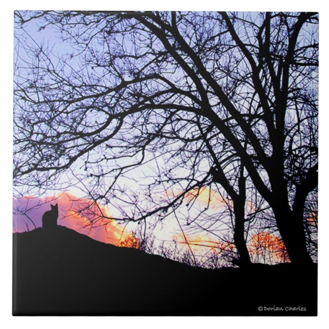 "Kärlek på solnedgången: Förlust minnesmärken av Kakelplatta (Framsidan)