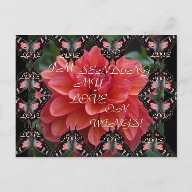 KÄRLEK PÅ VINGE! Vykort (Framsida)