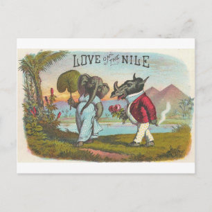 Kärlek på Vintagens Nilkonst Cigar Label Art Vykort