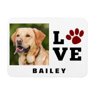 Kärlek Paw Print Animal Lover Hund älskare Photo Magnet