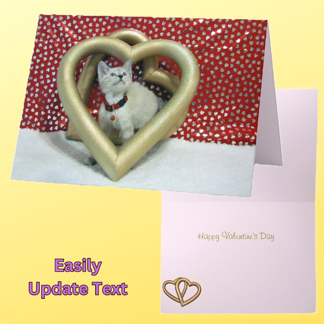 Kärlek Phoenix - Kattens Valentinkort Helgkort (Skapare uppladdad)