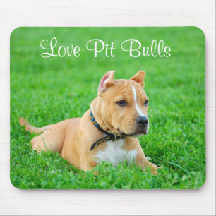 Kärlek Pit Bulls Mousepad Musmatta