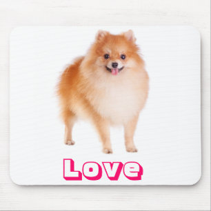 Kärlek Pomeranian Pom Pom Valp Hund Musmatta