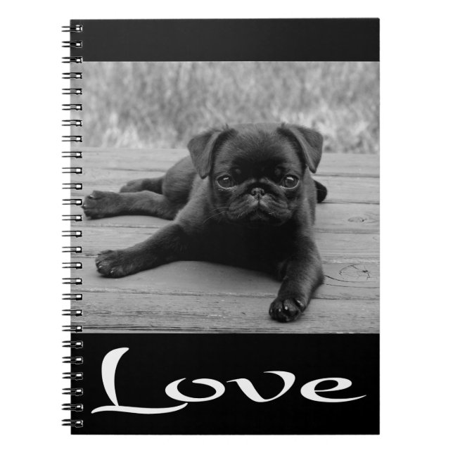 Kärlek Pug Puppy Hund Black Notebook/Journal Anteckningsbok Med Spiral (Framsidan)