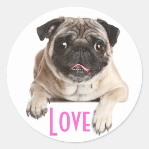 Kärlek Pug Puppy Hund Hälsning Stickers Runt Klistermärke
