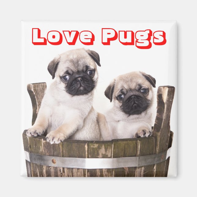 Kärlek Pugs Puppy Hundar i träfat Låda Magnet i tr (Framsidan)